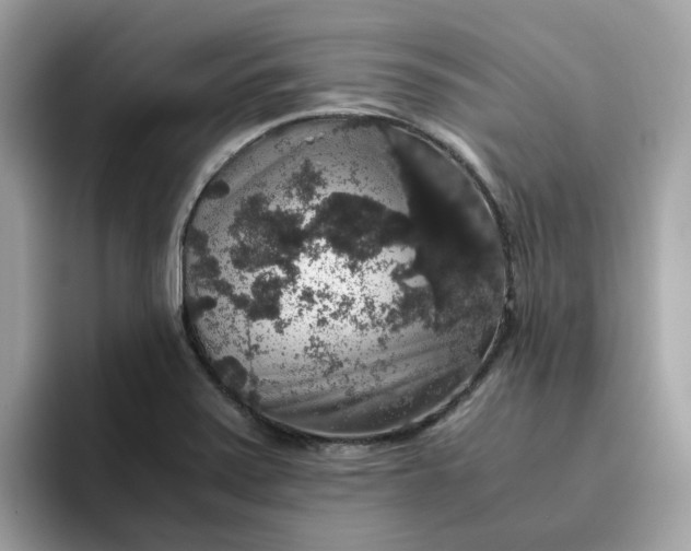 X0000095951371200801251121