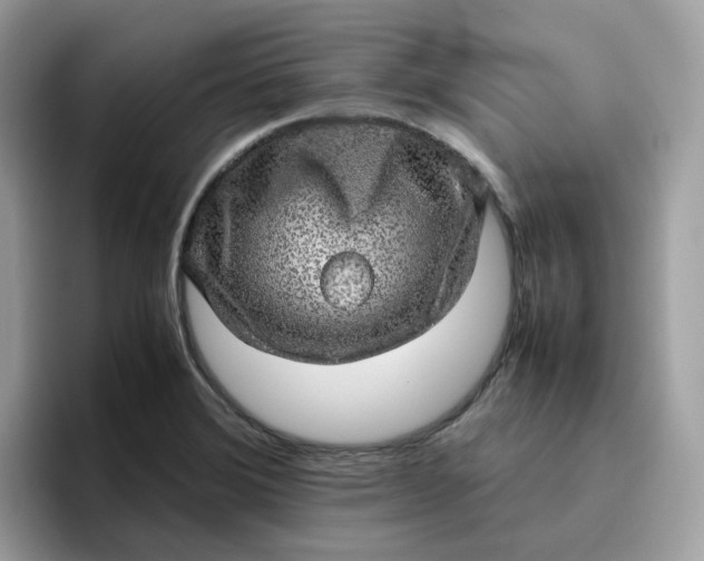 X0000095951372200801251121