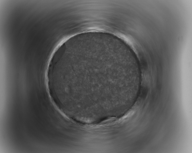 X0000095951373200801251121