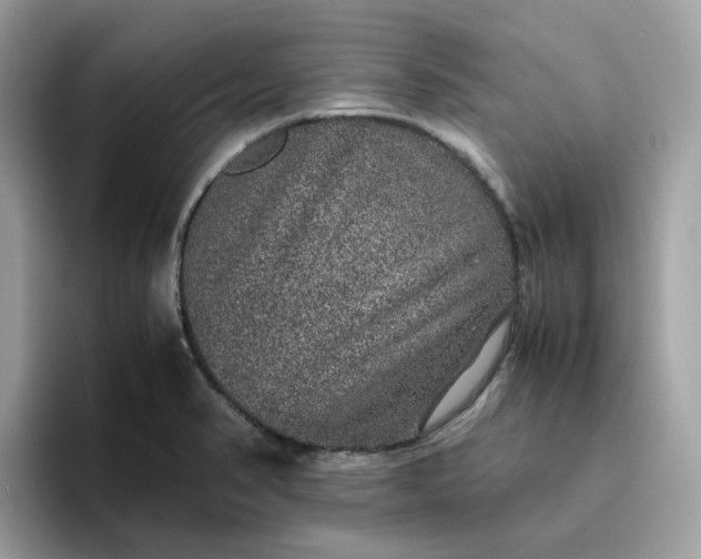 X0000095951374200801251121