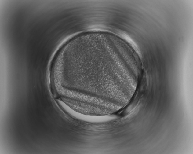 X0000095951376200801251121