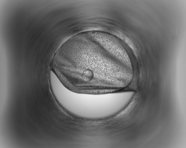 X0000095951377200801251121