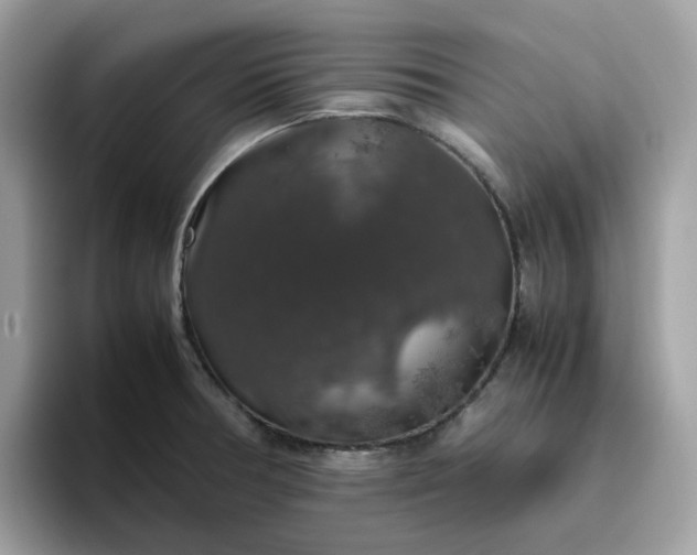 X0000095951378200801251121