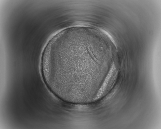 X0000095951379200801251121