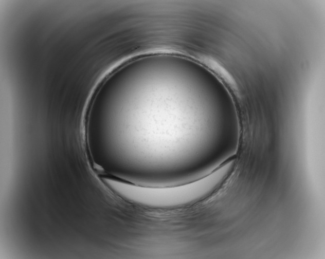 X0000095951380200801251121