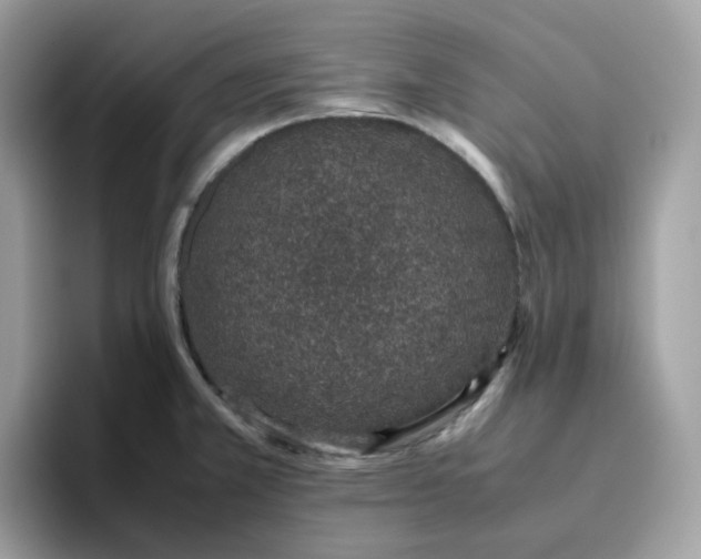 X0000095951381200801251121