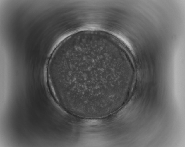 X0000095951382200801251121