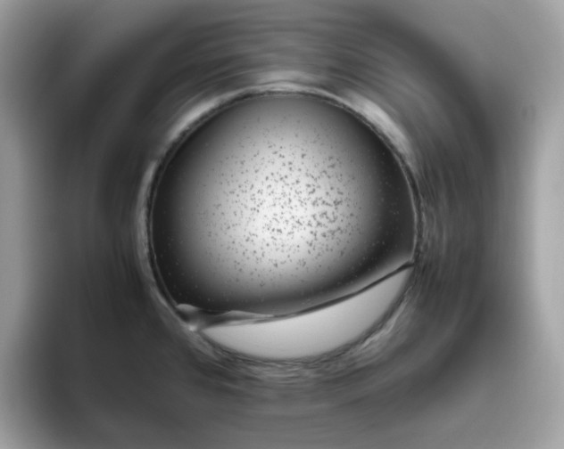 X0000095951384200801251121