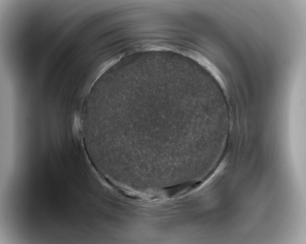 X0000095951385200801251121