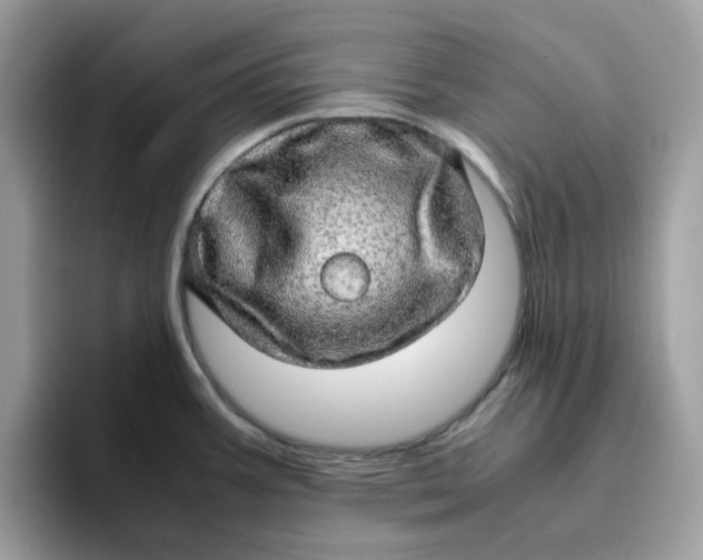 X0000095951387200801251121