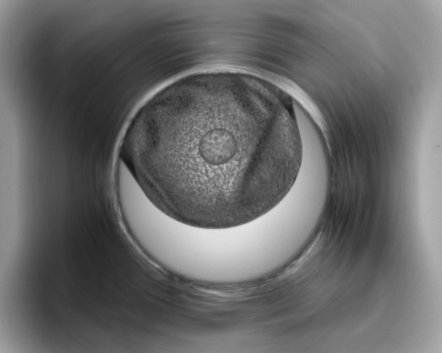 X0000095951388200801251121