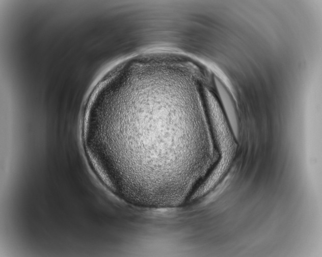 X0000095951390200801251121