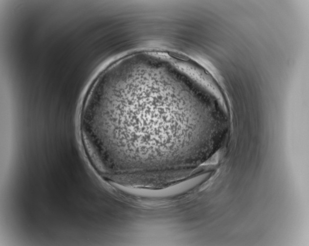 X0000095951392200801251121