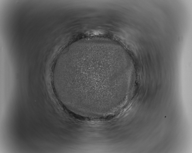 X0000095951393200801251120