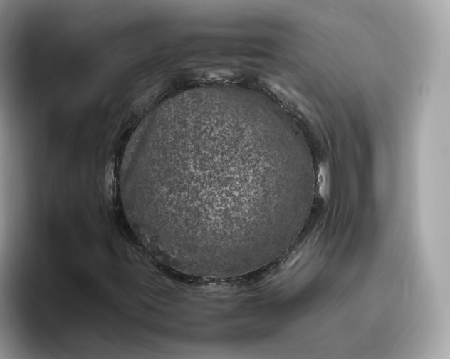 X0000095951395200801251120