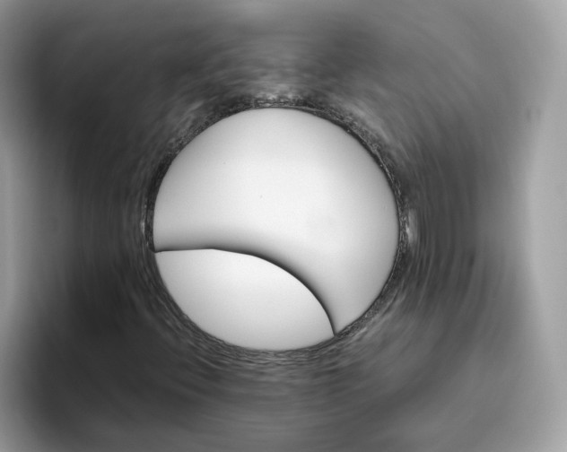 X0000095951396200801251120