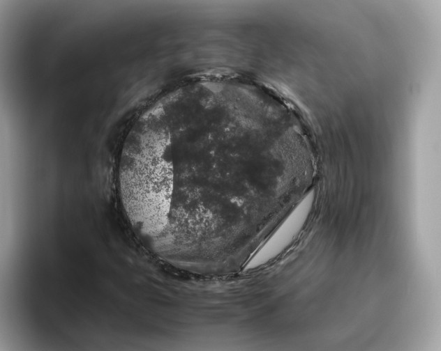 X0000095951399200801251120