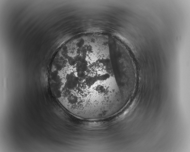 X0000095951401200801251121