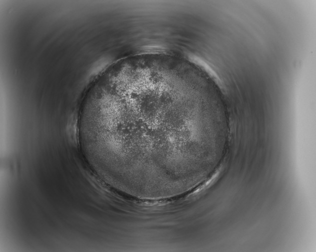 X0000095951403200801251121