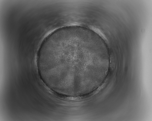 X0000095951404200801251121