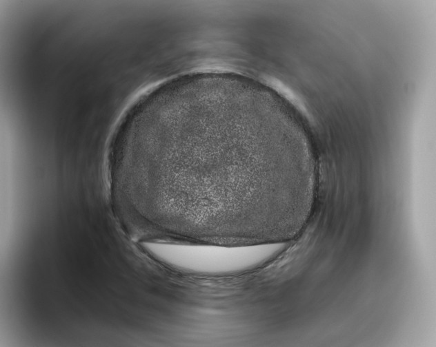 X0000095951408200801251121