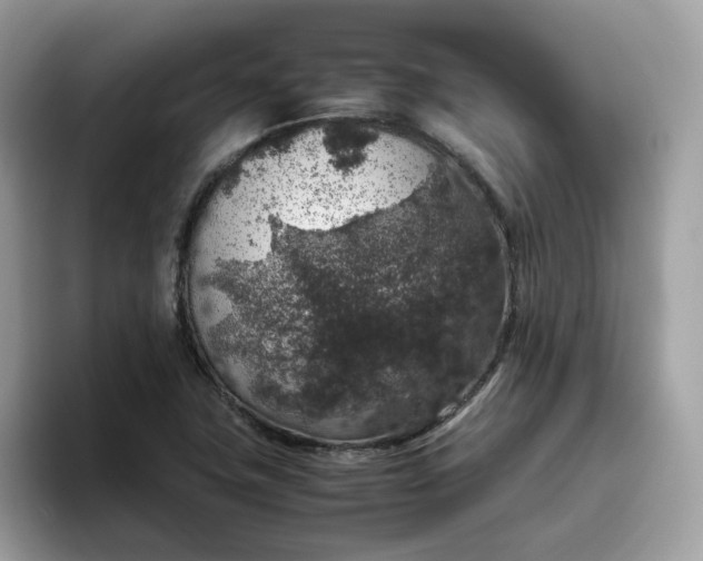 X0000095951411200801251121