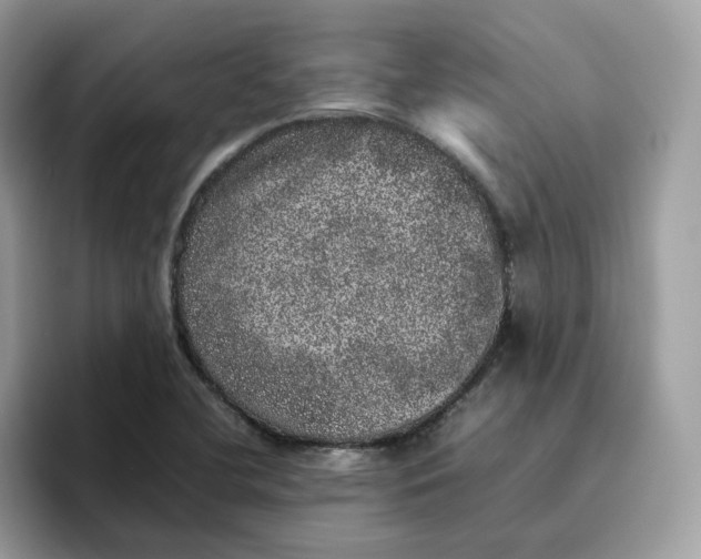 X0000095951412200801251121