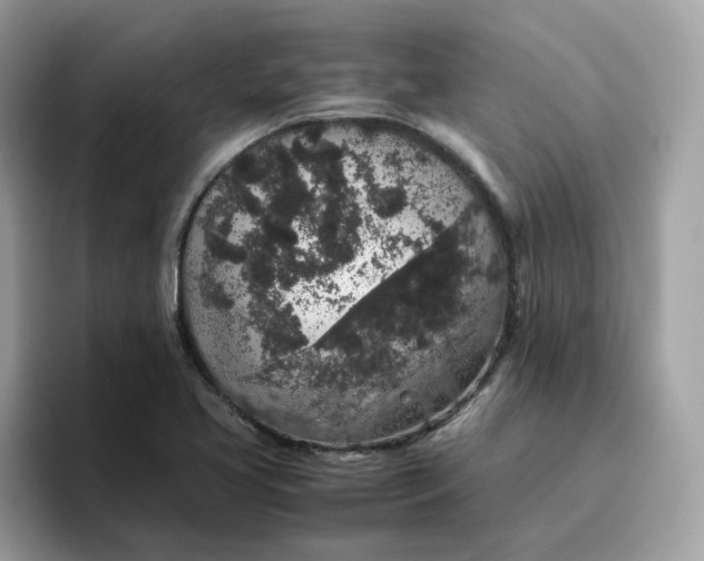 X0000095951413200801251121