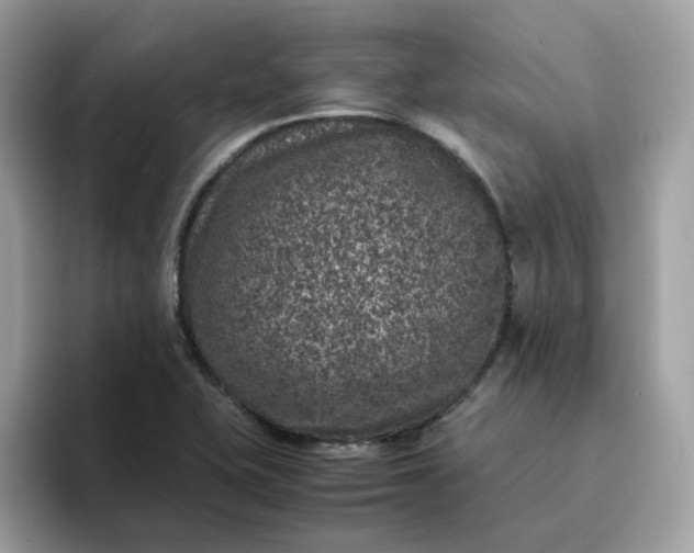 X0000095951415200801251121