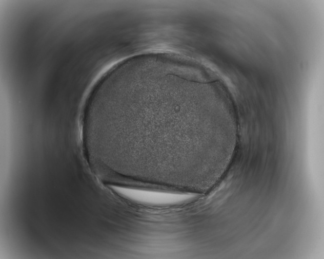 X0000095951416200801251121