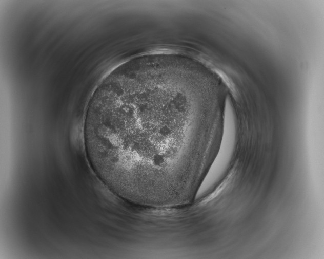 X0000095951417200801251121