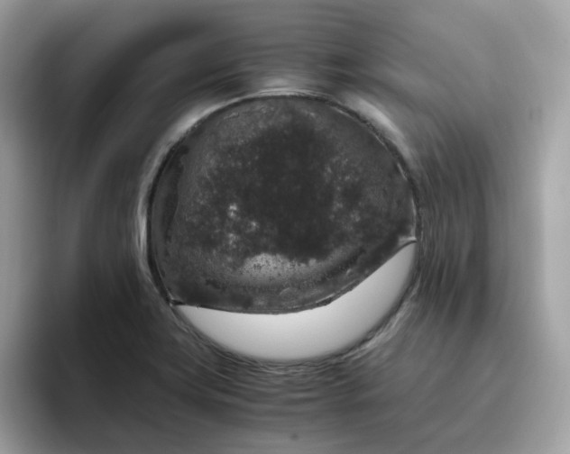 X0000095951419200801251121