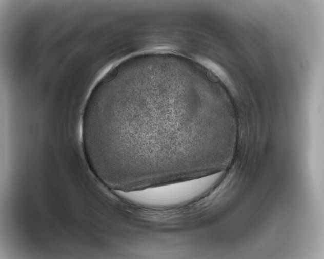 X0000095951420200801251121