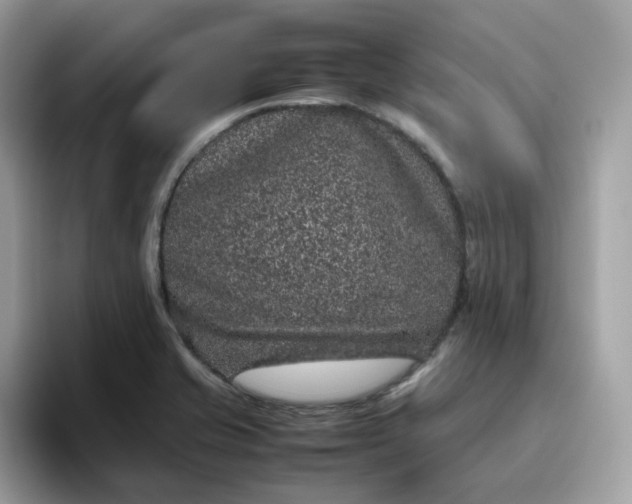 X0000095951421200801251121