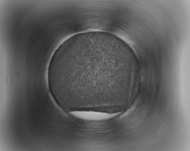 X0000095951423200801251121