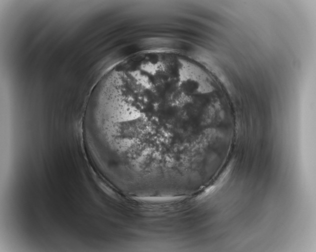 X0000095951425200801251121