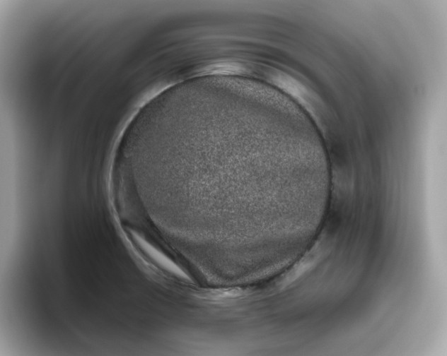 X0000095951426200801251121