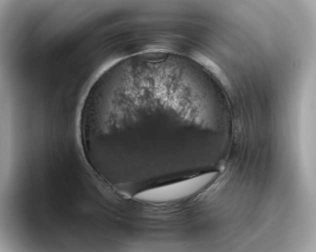 X0000095951427200801251121