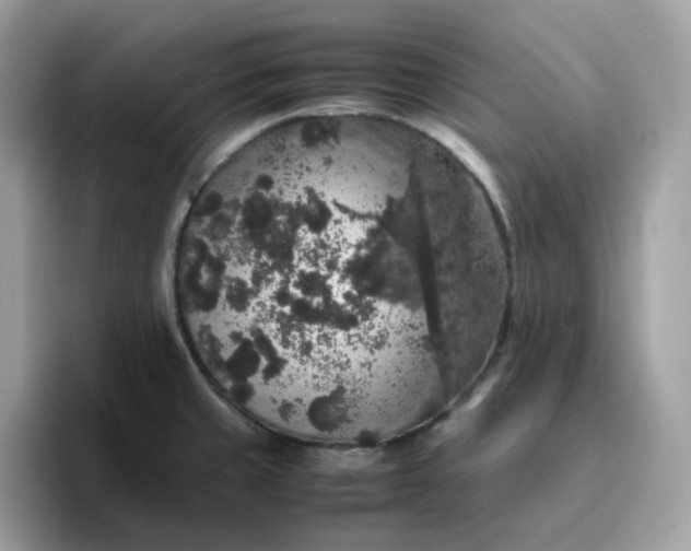 X0000095951429200801251121