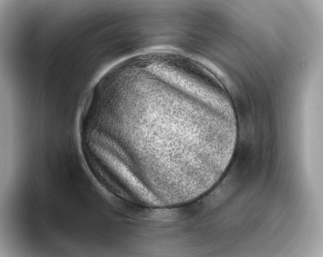 X0000095951430200801251121