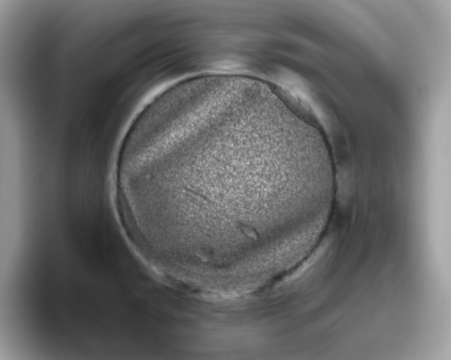 X0000095951432200801251121