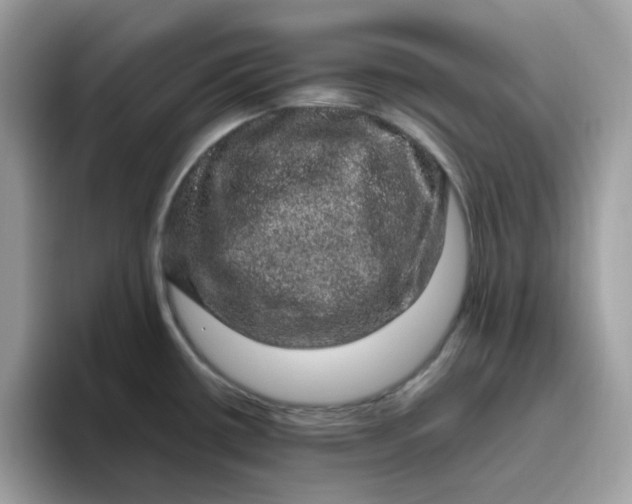 X0000095951434200801251121