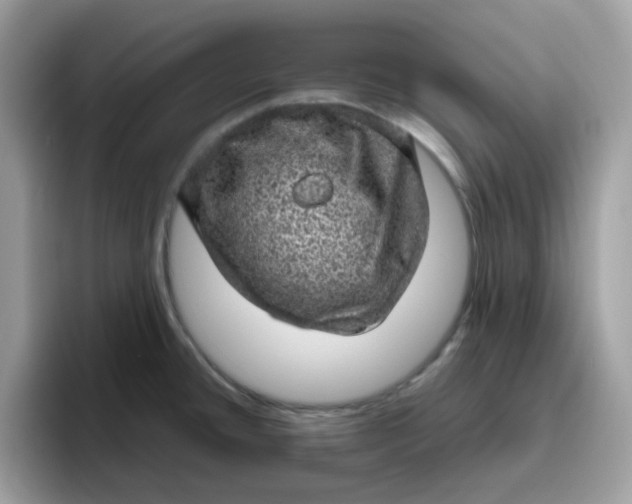 X0000095951436200801251121