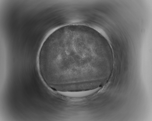 X0000095951440200801251121