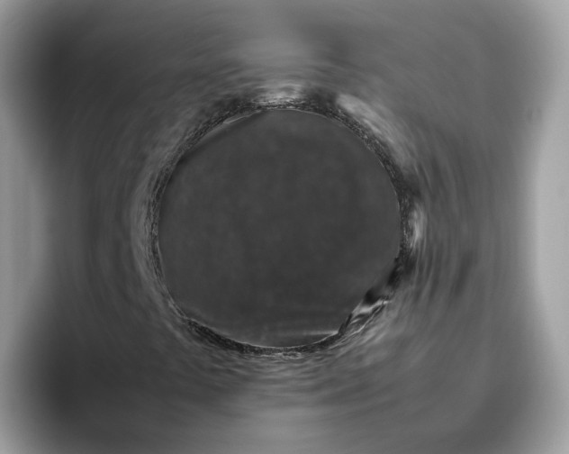 X0000095951441200801251120