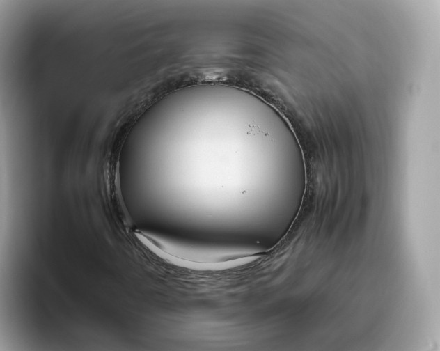 X0000095951442200801251120