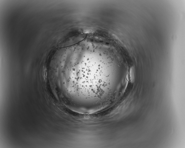 X0000095951443200801251120