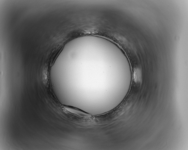 X0000095951444200801251120