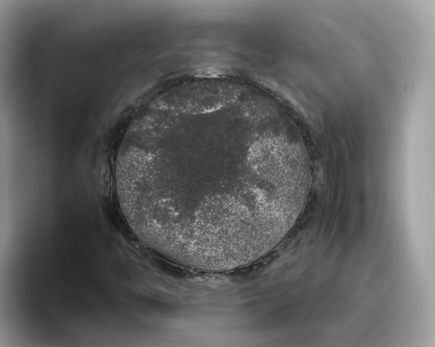 X0000095951446200801251120