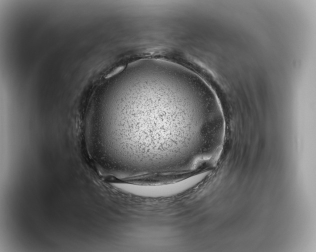 X0000095951447200801251120